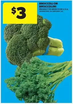Real Canadian Superstore BROCCOLI OR BROCCOLINI offer