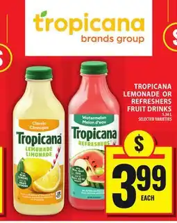 Food Basics TROPICANA LEMONADE OR REFRESHERS FRUIT DRINKS offer