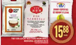 Food Basics Y&Y OR LUCKY KOI THAI HOM MALI, MEKONG JASMINE RICE offer