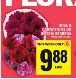 Food Basics ROSE & CARNATIONS OR 8 STEM GERBERA offer