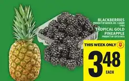 Food Basics BLACKBERRIES OR TROPICAL GOLD PINEAPPLE offer