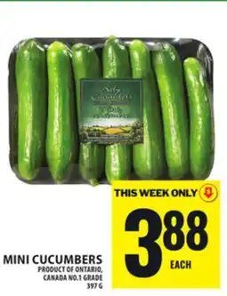 Food Basics MINI CUCUMBERS offer