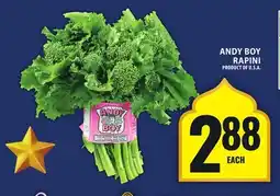 Food Basics ANDY BOY RAPINI offer