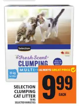 Food Basics SELECTION CLUMPING CAT LITTER offer