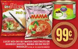 Food Basics LUCKY KOI OR Y&Y WATER CHESTNUTS OR BAMBOO SHOOTS, MAMA OR OH! RICEY NOODLES offer