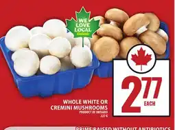 Food Basics WHOLE WHITE OR CREMINI MUSHROOMS offer