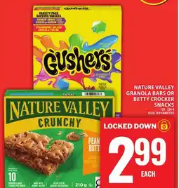 Food Basics NATURE VALLEY GRANOLA BARS OR BETTY CROCKER SNACKS offer