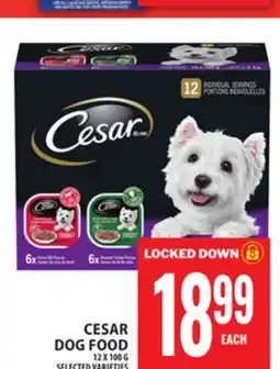 Food Basics CESAR DOG FOOD offer