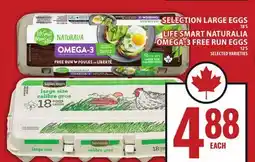 Food Basics SELECTION LARGE EGGS OR LIFE SMART NATURALIA OMEGA-3 FREE RUN EGGS offer