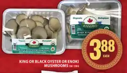 Food Basics KING OR BLACK OYSTER OR ENOKI MUSHROOMS offer