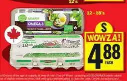 Food Basics NATURALIA offer