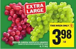 Food Basics RED OR GREEN SEEDLESS GRAPES offer