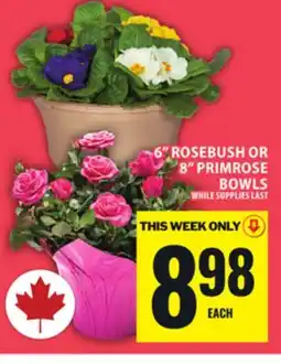Food Basics 6 ROSEBUSH OR 8 PRIMROSE BOWLS offer