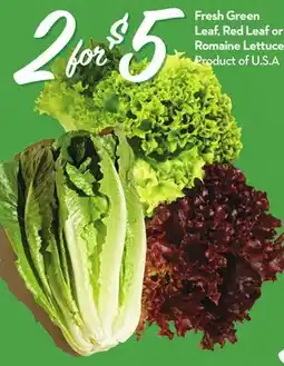Longo's Fresh Green Leaf, Red Leaf or Romaine Lettuce offer