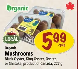 Farm Boy Organic Mushrooms offer