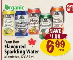 Farm Boy Farm Boy Flavoured Sparkling Water offer