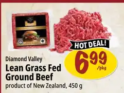 Farm Boy Diamond Valley Lean Grass Fed Ground Beef offer