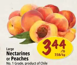 Farm Boy Large Nectarines or Peaches offer