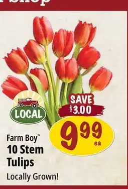 Farm Boy Farm Boy 10 Stem Tulips offer