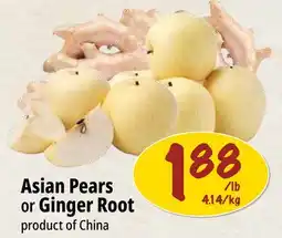 Farm Boy Asian Pears offer
