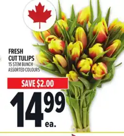 Metro FRESH CUT TULIPS offer