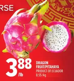Metro DRAGON FRUIT/PITAHAYA offer