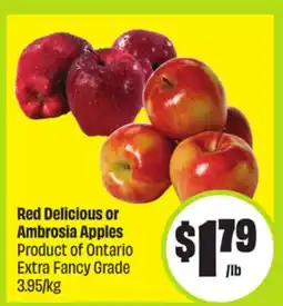 FreshCo Red Delicious or Ambrosia Apples Product of Ontario Extra Fancy Grade 3.95/kg offer