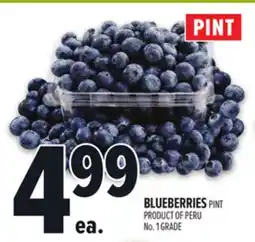 Metro BLUEBERRIES PINT offer
