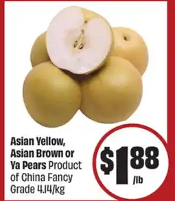 FreshCo Asian Yellow Asian Brown Or Ya Pears Product Of China Fancy Grade 4.14/kg - LNY offer