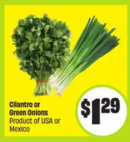 FreshCo Cilantro or Green Onions Product of USA or Mexico offer