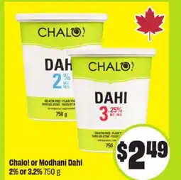 FreshCo Chalo! or Modhani Dahi 2% or 3.2% offer