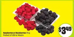 FreshCo Raspberries or Blackberries 170 g PRODUCT Of USA or Mexico offer