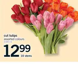 Fortinos CUT TULIPS, 10 STEMS offer