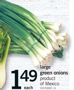 Fortinos LARGE GREEN ONIONS offer