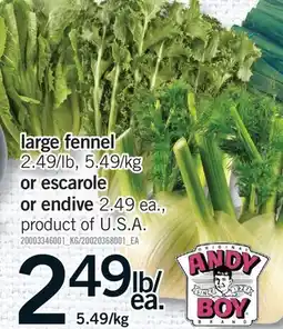 Fortinos LARGE FENNEL OR ESCAROLE OR ENDIVE offer