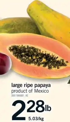 Fortinos LARGE RIPE PAPAYA offer