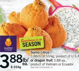 Fortinos SUMO CITRUS OR DRAGON FRUIT offer