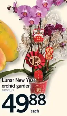 Fortinos LUNAR NEW YEAR ORCHID GARDEN offer