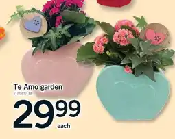 Fortinos TE AMO GARDEN offer