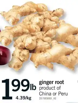 Fortinos GINGER ROOT offer