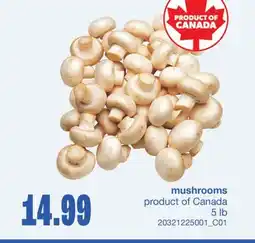 Wholesale Club MUSHROOMS, 5 LB offer