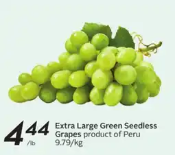 Sobeys Extra Large Green Seedless Grapes offer