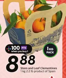 Sobeys Stem and Leaf Clementines offer