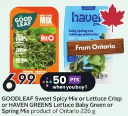 Sobeys GOODLEAF Sweet Spicy Mix or Lettuce offer