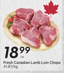 Sobeys Fresh Canadian Lamb Loin Chops offer