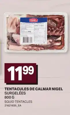 L'Intermarché TENTACULES DE CALMAR NIGEL | SQUID TENTACLES offer