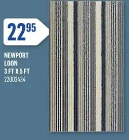 Canac NEWPORT LOON 3 FT X 5 FT offer