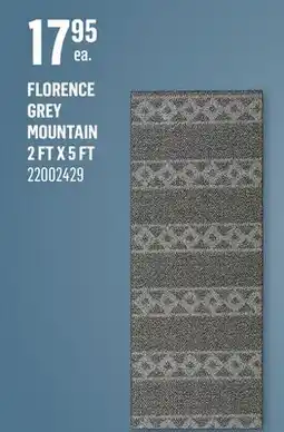 Canac FLORENCE GREY MOUNTAIN 2 FT X 5 FT offer