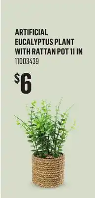 Canac Artificial Eucalyptus Plant with Rattan Pot offer