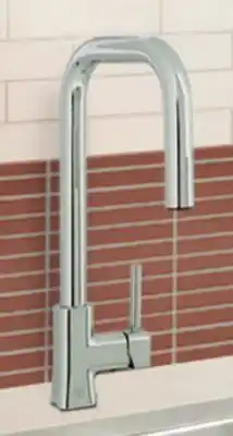 Canac Patrizio 1-Handle Pull-Out Kitchen Faucet offer